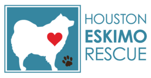 Houston Eskimo Rescue – American Eskimo Dog Rescue in Greater Houston Area